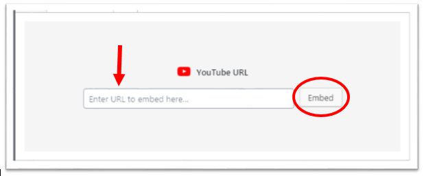 How To Embed A YouTube video in WordPress