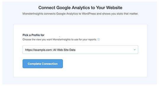 Complete connection with Monster Insights