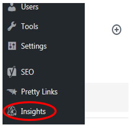 Monster Insights menu label in WordPress