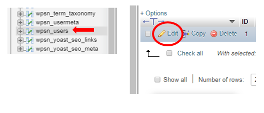 WordPress database wpsn users and edit