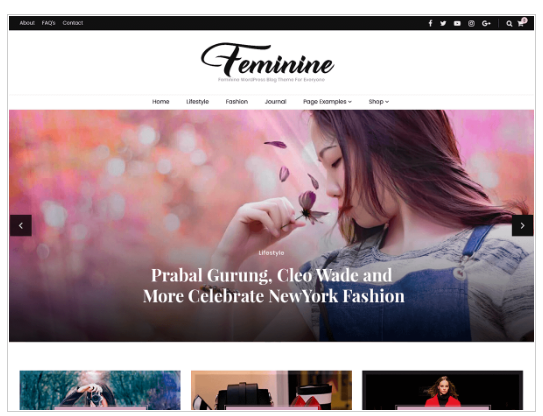 Blossom feminine a free WordPress theme