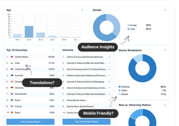 Monster Insights a WordPress Google Analytics plugin