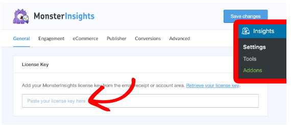 Enter your MonsterInsights license key